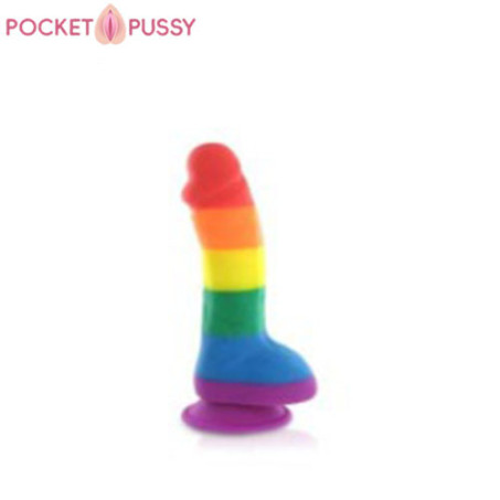 Rainbow Pure Love Silicone Dildo In Pakistan